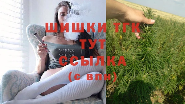 первитин Заводоуковск