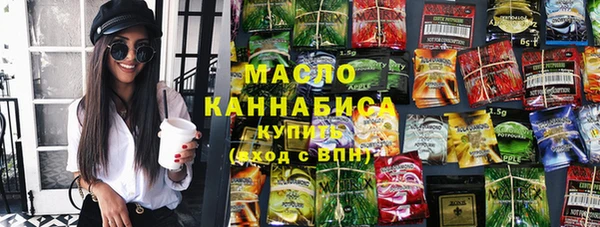 индика Михайловск