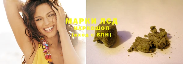 индика Михайловск