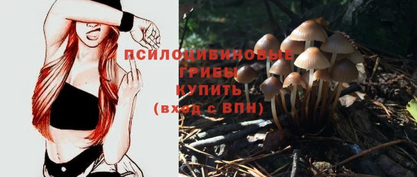 индика Михайловск