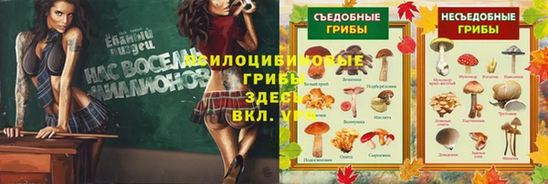 скорость Алексин