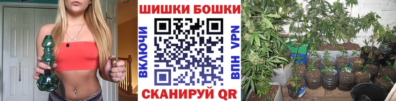 Шишки марихуана сатива  наркошоп  Ардон 